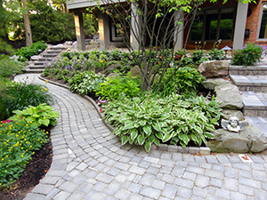 Landscape Design Contractor